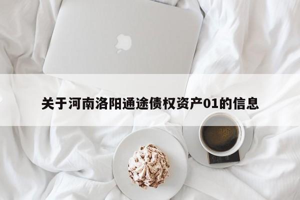 关于河南洛阳通途债权资产01的信息