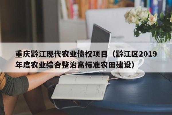 重庆黔江现代农业债权项目（黔江区2019年度农业综合整治高标准农田建设）