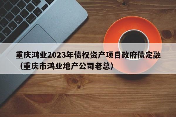 重庆鸿业2023年债权资产项目政府债定融（重庆市鸿业地产公司老总）