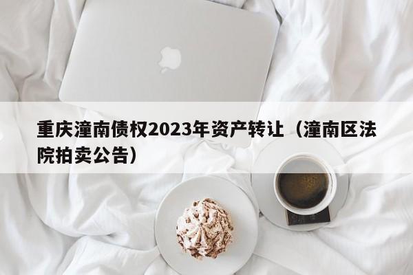 重庆潼南债权2023年资产转让（潼南区法院拍卖公告）