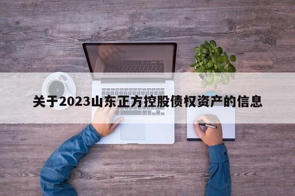 关于2023山东正方控股债权资产的信息