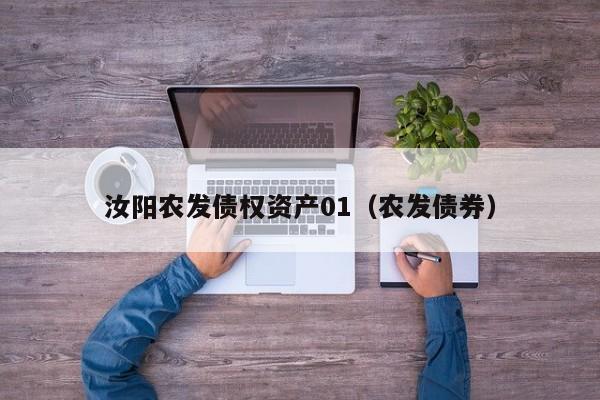 汝阳农发债权资产01（农发债券）