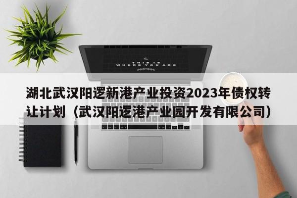 湖北武汉阳逻新港产业投资2023年债权转让计划（武汉阳逻港产业园开发有限公司）