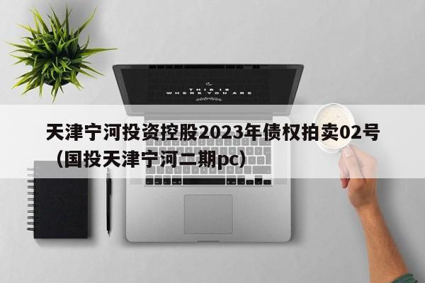 天津宁河投资控股2023年债权拍卖02号（国投天津宁河二期pc）