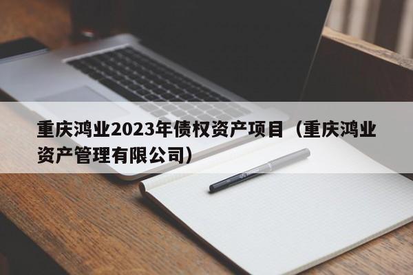 重庆鸿业2023年债权资产项目（重庆鸿业资产管理有限公司）