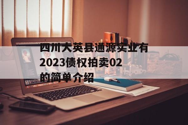 四川大英县通源实业有2023债权拍卖02的简单介绍