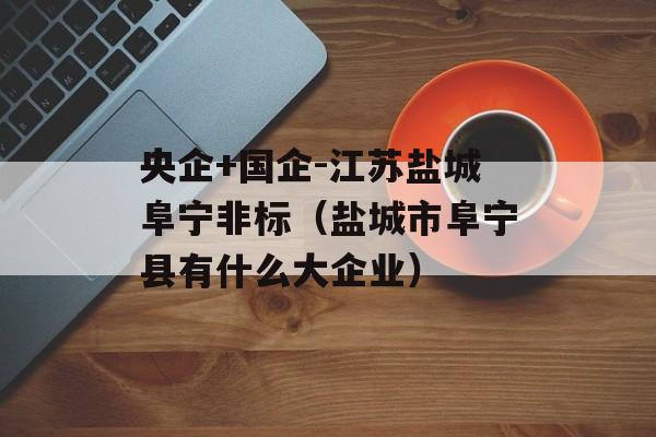 央企+国企-江苏盐城阜宁非标（盐城市阜宁县有什么大企业）