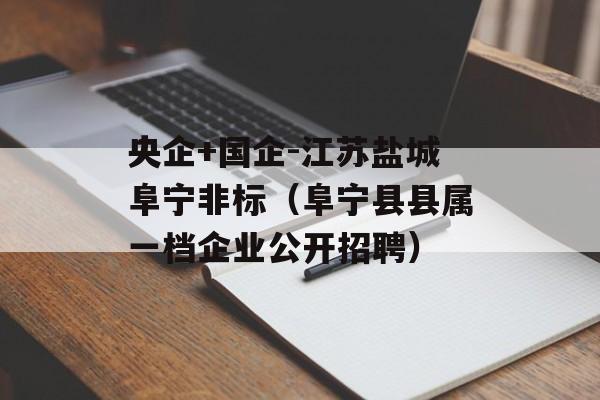 央企+国企-江苏盐城阜宁非标（阜宁县县属一档企业公开招聘）