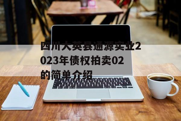 四川大英县通源实业2023年债权拍卖02的简单介绍