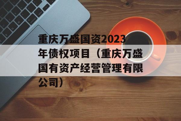 重庆万盛国资2023年债权项目（重庆万盛国有资产经营管理有限公司）