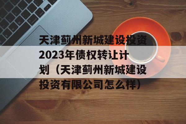 天津蓟州新城建设投资2023年债权转让计划（天津蓟州新城建设投资有限公司怎么样）