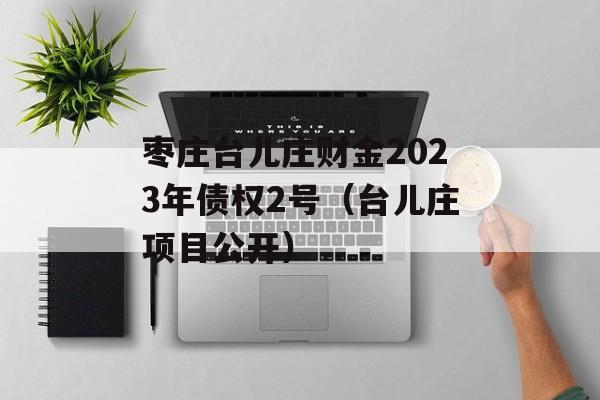 枣庄台儿庄财金2023年债权2号（台儿庄项目公开）