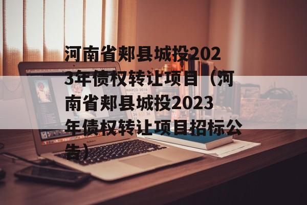 河南省郏县城投2023年债权转让项目（河南省郏县城投2023年债权转让项目招标公告）