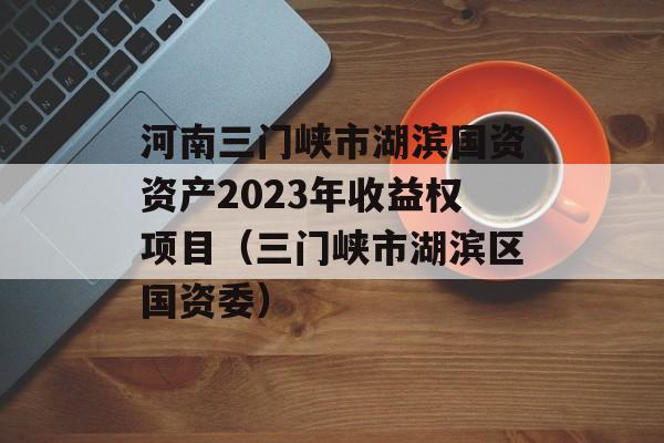 河南三门峡市湖滨国资资产2023年收益权项目（三门峡市湖滨区国资委）