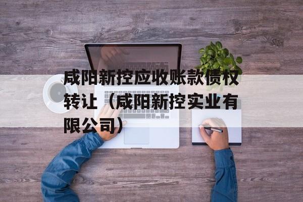 咸阳新控应收账款债权转让（咸阳新控实业有限公司）