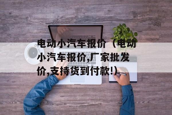 电动小汽车报价（电动小汽车报价,厂家批发价,支持货到付款!）