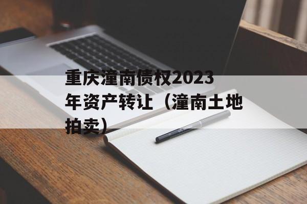 重庆潼南债权2023年资产转让（潼南土地拍卖）