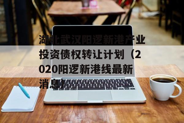 湖北武汉阳逻新港产业投资债权转让计划（2020阳逻新港线最新消息）