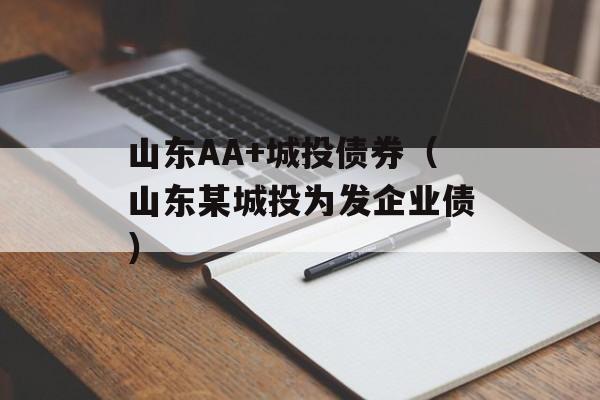 山东AA+城投债券（山东某城投为发企业债）