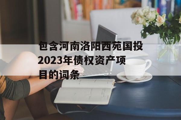 包含河南洛阳西苑国投2023年债权资产项目的词条