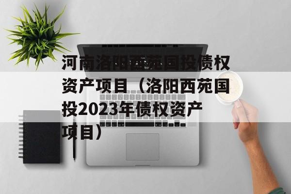 河南洛阳西苑国投债权资产项目（洛阳西苑国投2023年债权资产项目）