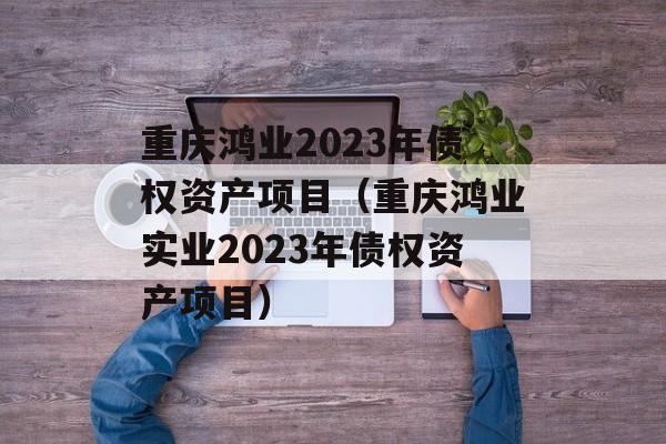 重庆鸿业2023年债权资产项目（重庆鸿业实业2023年债权资产项目）