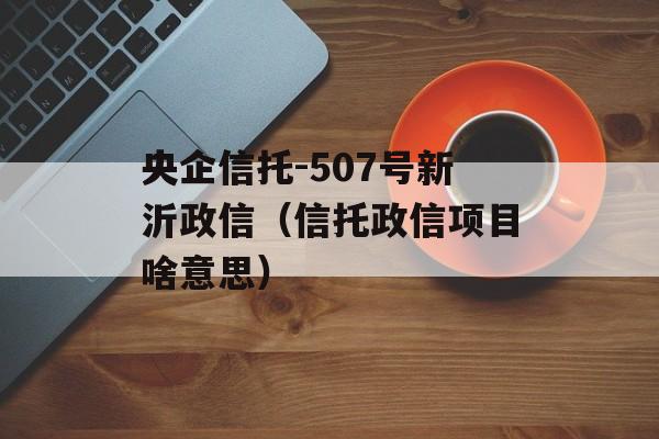 央企信托-507号新沂政信（信托政信项目啥意思）