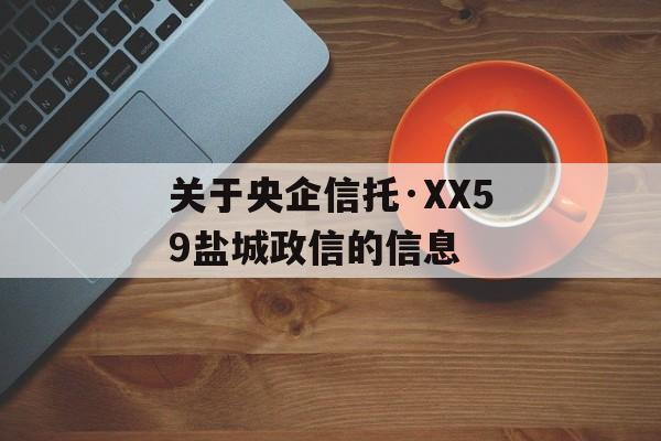 关于央企信托·XX59盐城政信的信息