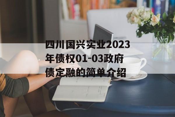 四川国兴实业2023年债权01-03政府债定融的简单介绍