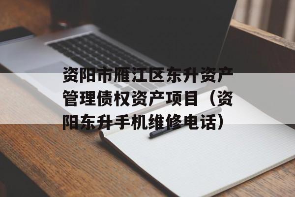 资阳市雁江区东升资产管理债权资产项目（资阳东升手机维修电话）