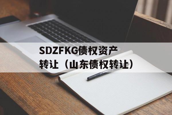 SDZFKG债权资产转让（山东债权转让）