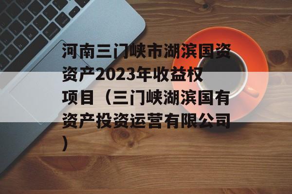 河南三门峡市湖滨国资资产2023年收益权项目（三门峡湖滨国有资产投资运营有限公司）