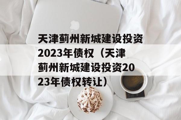 天津蓟州新城建设投资2023年债权（天津蓟州新城建设投资2023年债权转让）