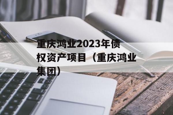 重庆鸿业2023年债权资产项目（重庆鸿业集团）