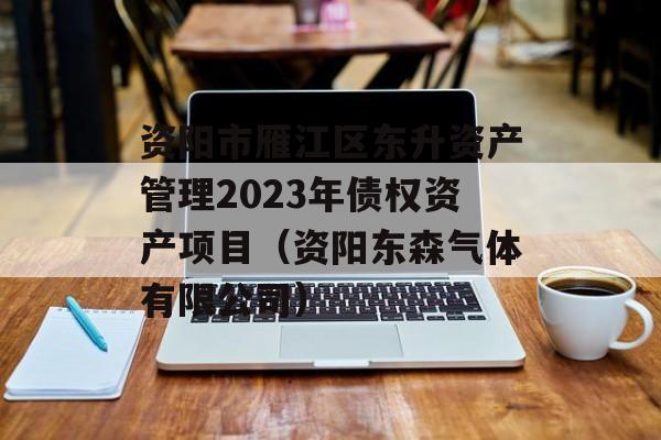 资阳市雁江区东升资产管理2023年债权资产项目（资阳东森气体有限公司）