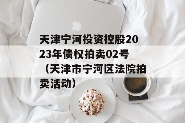 天津宁河投资控股2023年债权拍卖02号（天津市宁河区法院拍卖活动）