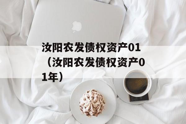 汝阳农发债权资产01（汝阳农发债权资产01年）