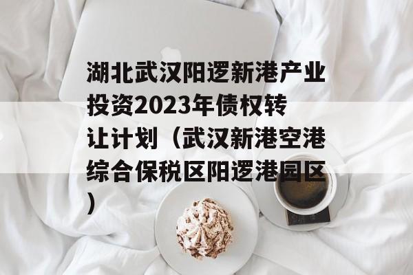 湖北武汉阳逻新港产业投资2023年债权转让计划（武汉新港空港综合保税区阳逻港园区）