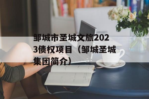 邹城市圣城文旅2023债权项目（邹城圣城集团简介）