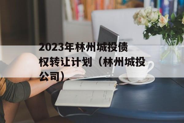 2023年林州城投债权转让计划（林州城投公司）