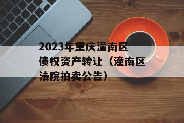 2023年重庆潼南区债权资产转让（潼南区法院拍卖公告）