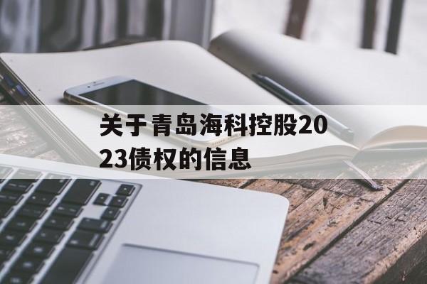 关于青岛海科控股2023债权的信息