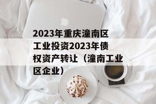 2023年重庆潼南区工业投资2023年债权资产转让（潼南工业区企业）