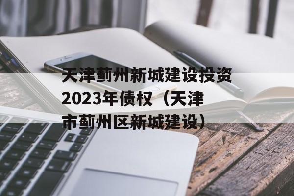 天津蓟州新城建设投资2023年债权（天津市蓟州区新城建设）