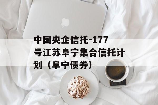 中国央企信托-177号江苏阜宁集合信托计划（阜宁债券）