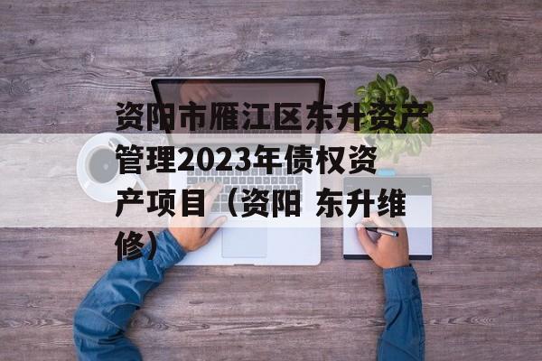 资阳市雁江区东升资产管理2023年债权资产项目（资阳 东升维修）