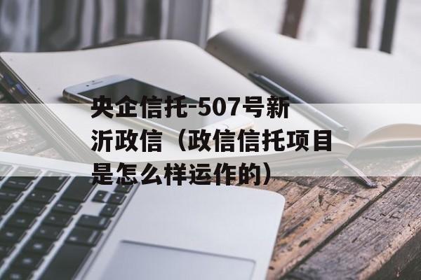 央企信托-507号新沂政信（政信信托项目是怎么样运作的）