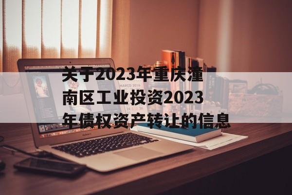 关于2023年重庆潼南区工业投资2023年债权资产转让的信息