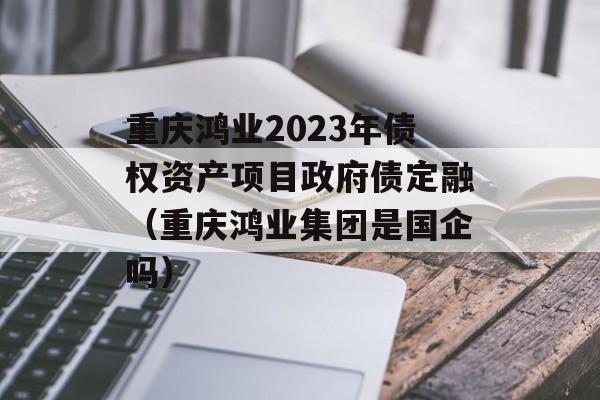 重庆鸿业2023年债权资产项目政府债定融（重庆鸿业集团是国企吗）