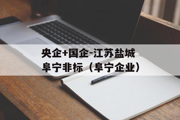 央企+国企-江苏盐城阜宁非标（阜宁企业）